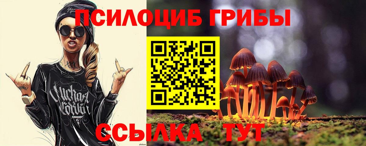 закладки  Галлюциногенные грибы Psilocybe  Вход с VPN  Людиново 